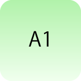 A1