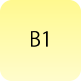 B1